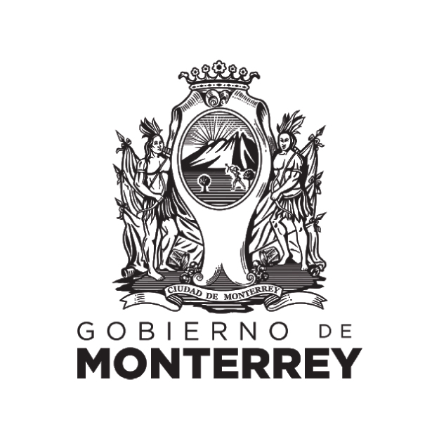 Gobierno de Monterrey Csr Consulting